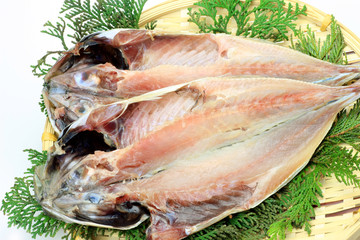 horse mackerel
