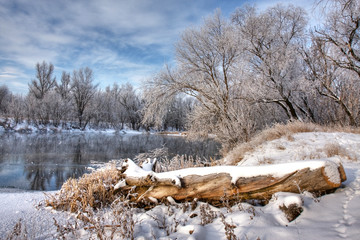 Fototapeta na wymiar zaloguj się na brzegu rzeki zimą