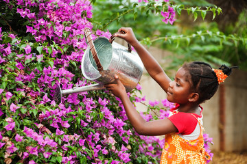 african gardener