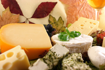Käse Käseplatte © Dalmatin.o