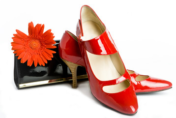 Shoes  and  handbag and flower