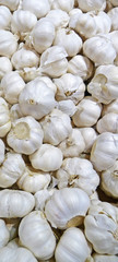 Garlic bulbs