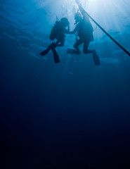 Silhouette shot of divers heading up to the surface.