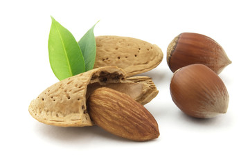 Almonds and hazelnuts