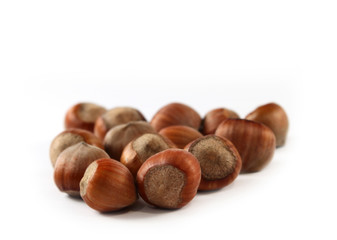 Hazel nuts