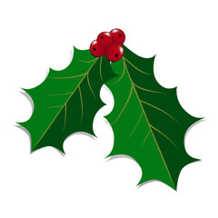 Holly Leaves and Red Berries