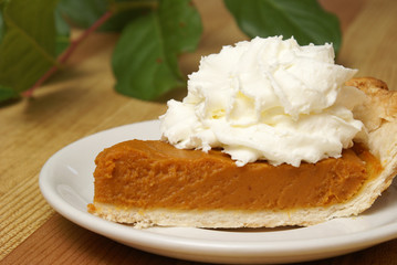 Fresh Pumpkin Pie