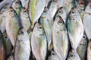 Obraz premium Fish stock.
