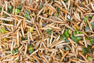 A pile of deep fried caterpillars - a snack often used in Asia