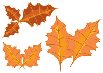 Herbstlich gefärbte Blätter