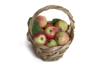 basket of apples on a white background