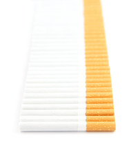 Row of cigarettes isolated on white
