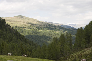 berge in südtirol