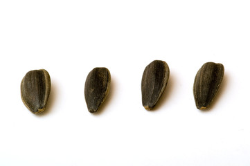seeds