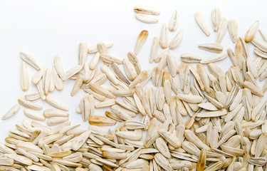 sunflower seeds
