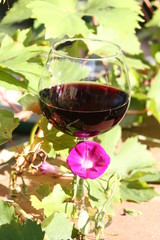 verre de vin rouge