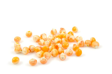 some mais corn over white background