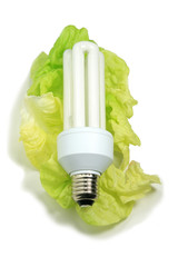 Fluorescent light bulb on salad leaves
