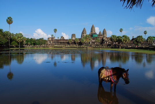 Cheval a Angkor Vat