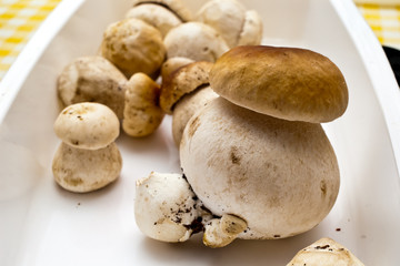 champignons