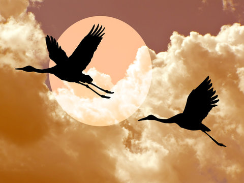 crane in cloudy sky