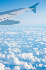 Fototapeta premium Wing - sky