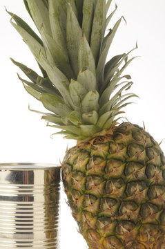 Ananas con scatola