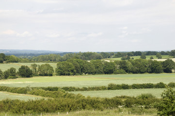 Kent countryside
