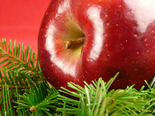 Weihnachtsäpfel V