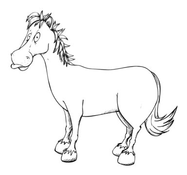 Pferd, reiten, Stall, Bauernhof, Reiterhof
