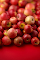 Group of red apples - 17728096