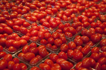 Cherry Tomatoes at the Market