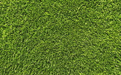 Obraz premium lawn grass