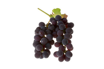 Red Table Grapes With Leaves Isolated on White