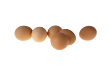 Eggs Isolated on White Background
