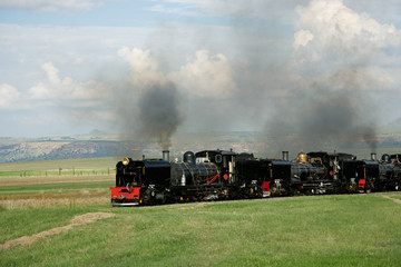 Obraz premium Zabytkowe lokomotywy parowe z falującym dymem i parą