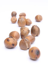 Hazelnuts