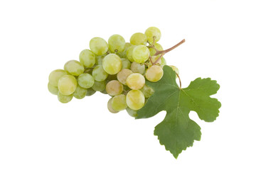 Close-up of a bunch of grapes isolated over white