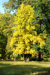 Fototapeta premium Landschaft 126