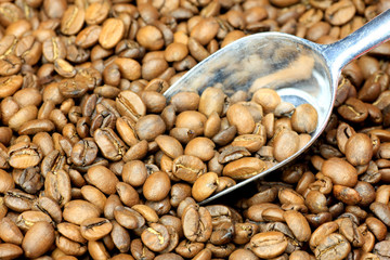 coffee beans