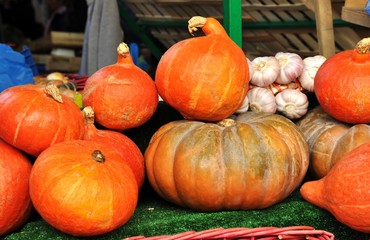 Pumpkins on the market