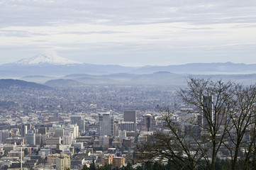 Portland, Oregon Cityscape