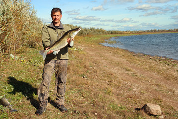 fishing man with big zander fish