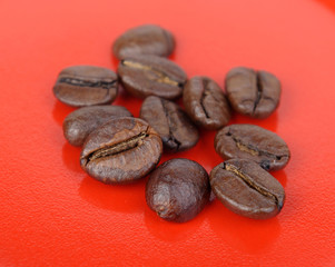 Coffe beans with red background