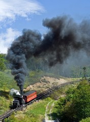 Fototapeta premium Cog Railway - Mt. Washington, New Hampshire