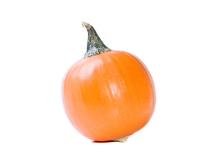 Miniature pumpkin on white background