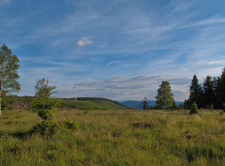 Windrad im Schwarzwald