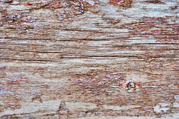 old spoiled wood