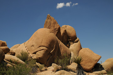 Joshua Tree National Park, California, USA