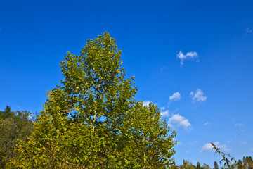 Autunno